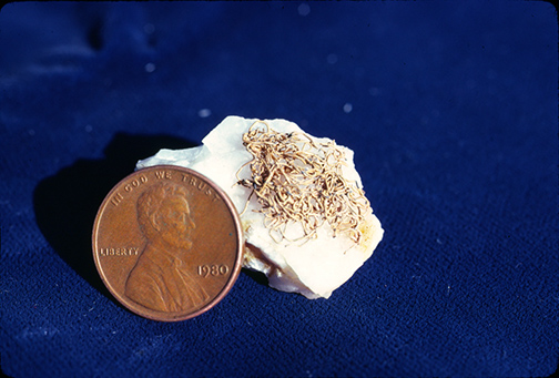 %_tempFileNameAu_MarbleQ3ColumbiaCA%