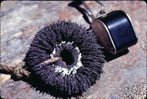 %_tempFileNameAu_RiverGrit%