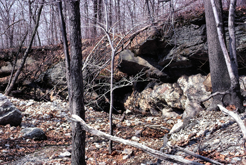 %_tempFileNameCaseQuarryCTCrop%