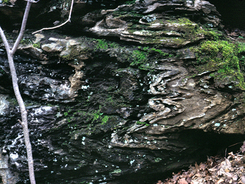 %_tempFileNameLongHillX_TrumbullCTCrop%