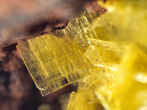 %_tempFileNameMeta-Autunite2_BranchvilleCTCrop%