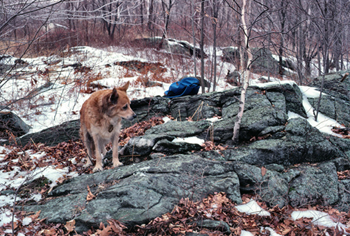 %_tempFileNamePLaJukeCrop%