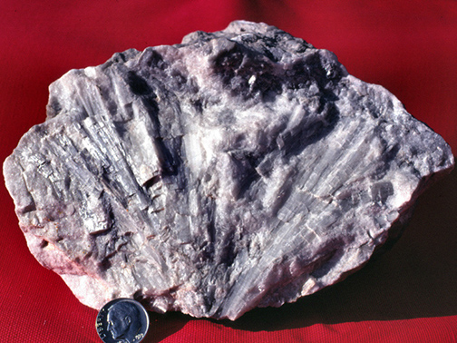 %_tempFileNameTremolite_CanaanCTCrop%