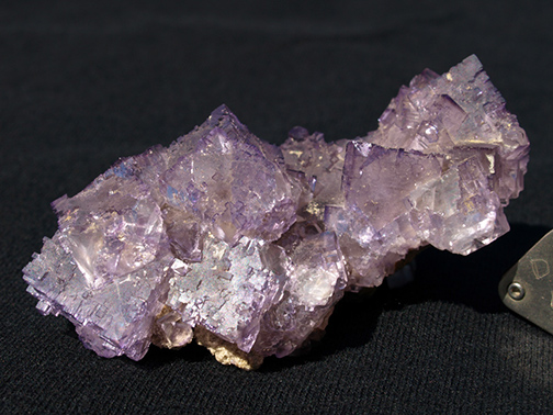 %_tempFileName0128_Fluorite_Musquiz_Coahila_Mexico%