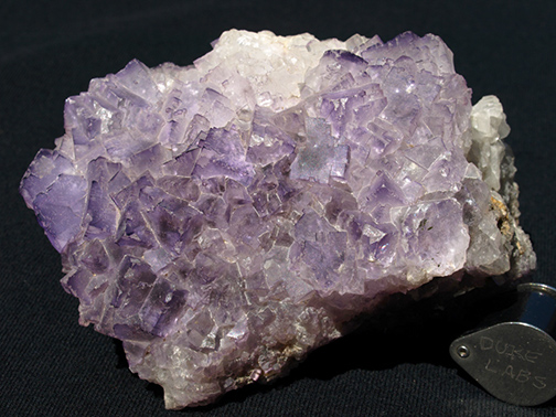 %_tempFileName0225_Fluorite_Coahila_Mexico%