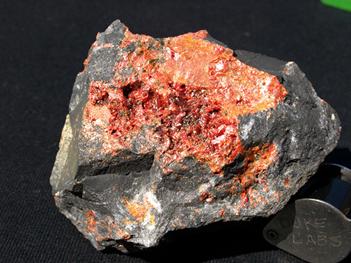 %_tempFileName0256_Realgar_GetchellMine_NV%