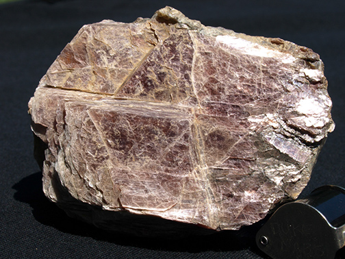 %_tempFileName0308_Lepidolite_MinasGerais_Brazil%