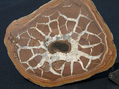 %_tempFileName0393_Septarian_Morocco%
