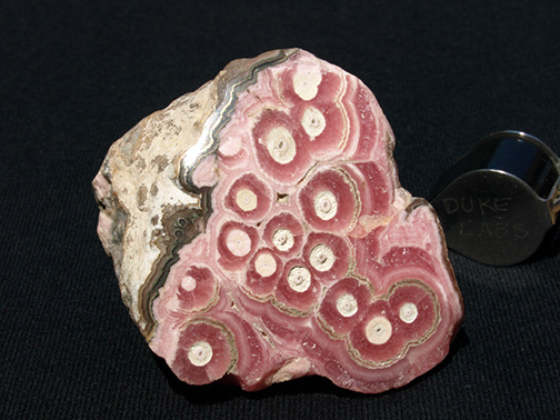 %_tempFileName0484_Rhodochrosite_Catamarca_Argentina%
