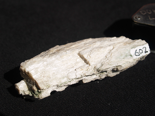 %_tempFileName0602_Tremolite_IshamPark_NYC_NY%