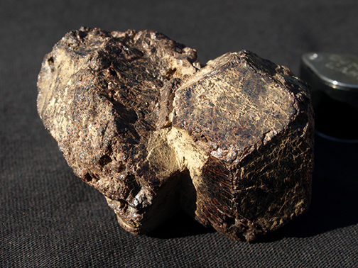 %_tempFileName0793_Garnet%