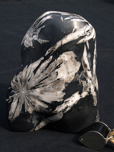 %_tempFileName0887_Andalusite%