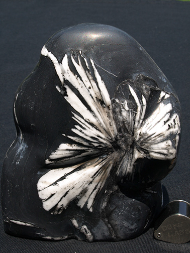 %_tempFileName0888_Andalusite%