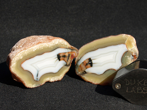 %_tempFileName1141a_Quartz%20var%20Agate_Laguna_Mexico%