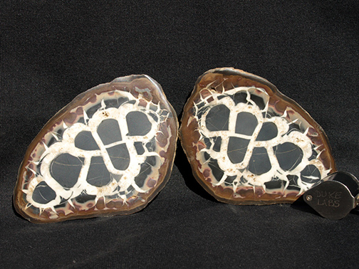 %_tempFileName1174a_Septarian%20Geode_Morocco_Africa%