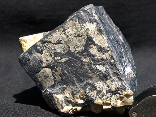 %_tempFileName1188a_Galena_Joplin_MO_USA%