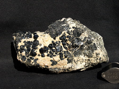 %_tempFileName1213a_Tourmaline%20var%20Dravite_Power'sFarm_Pierrepont_NY_USA%