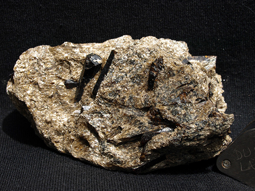 %_tempFileName1288a_Tourmaline%20var%20Dravite_SouthFerrySite_NYC_NY_USA%