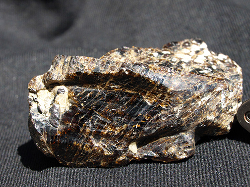 %_tempFileName1516a_Staurolite_BlowingRock_VA_USA%