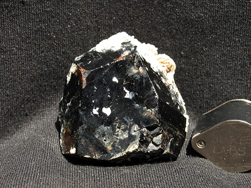 %_tempFileName1606a_Tourmaline%20var%20Schorl_ErongoMtns_Namibia_Africa%