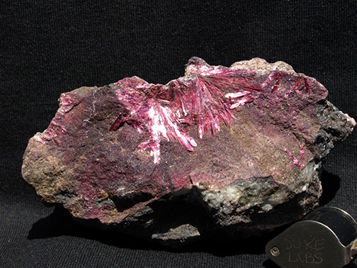 %_tempFileName1614a_Erythrite_BouAzzer_Morocco%