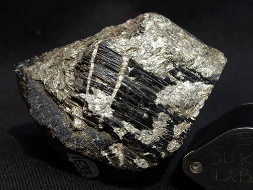 %_tempFileName1633a_Tourmaline%20var%20Schorl_nrBiermannQuarry_Newtown_CT_USA%