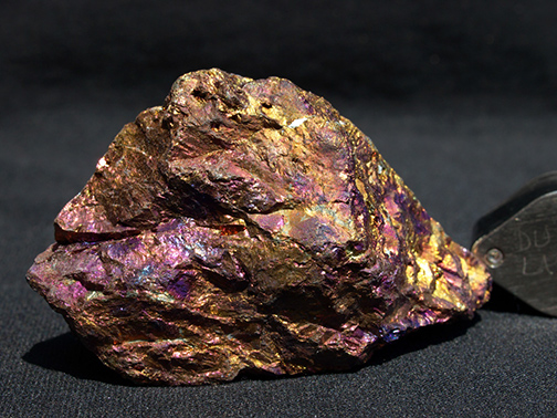 %_tempFileName1694a_Chalcopyrite_Zacatecas_Mexico%