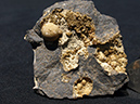 %_tempFileName0014_Spherosiderite_Spokane_WA%