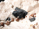 %_tempFileName0251a_Franklinite-Willemite_Ogdensberg_NJ%