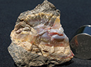 %_tempFileName0350a_Agate_HoudailleQuarry_Montclair_NJ%