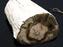 %_tempFileName0479_PetrifiedWood_Madagascar%