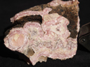 %_tempFileName0608_Rhodochrosite_Argentina%