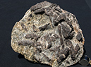 %_tempFileName0830_Staurolite-Kyanite_WestTorrington_CT%