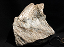 %_tempFileName1142a_Tremolite_O&GBoardmanQuarry_NewMilford_CT_USA%