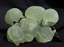 %_tempFileName1335a_Prehnite,%20Epidote_KayesRegion_ArrondissementDiakon_Mali%
