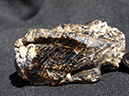 %_tempFileName1516a_Staurolite_BlowingRock_VA_USA%