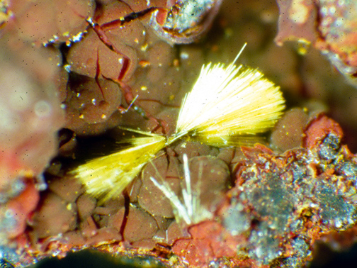 %_tempFileNameCacoxenite_BearvillePACrop%