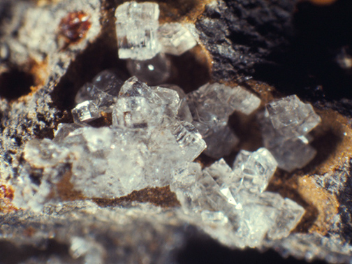 %_tempFileNameClinoptilite_RockIsDamWACrop%