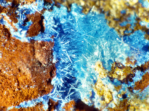 %_tempFileNameCyanotrichite_GrandviewXCoconinoCoAZCrop%