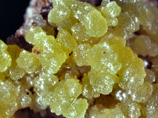 %_tempFileNameMimetite_SantaEulaliaMexicoCrop%