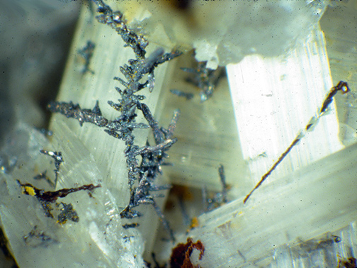 %_tempFileNameSilverCerrusite_CourD'AleneDistBurkeIDCrop%