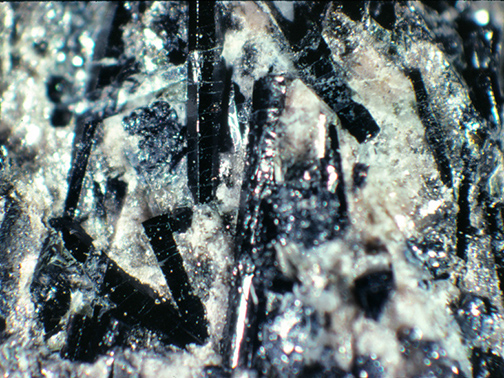 %_tempFileNameTourmalineCoticule_BlandfordMAcrop%