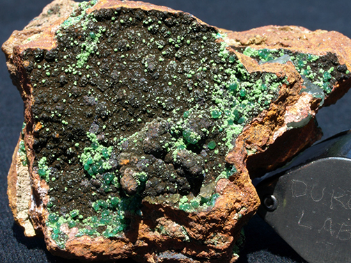 %_tempFileName2184_Adamite_Mexico%