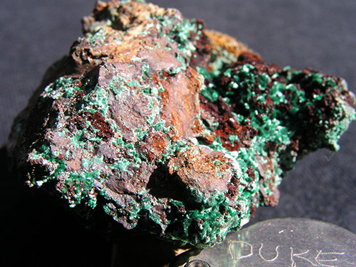 %_tempFileName2185b_Malachite_OjuellaMine_Mapimi_Durango_Mexico%