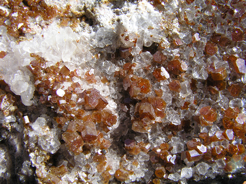 %_tempFileName2200d_Vanadinite_Chihuahua_Mexico%