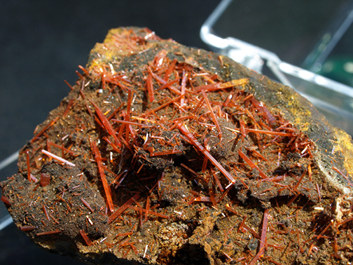 %_tempFileName2867-2_Crocoite_AdelaideMine_Dundas_Tasmania_Australia%