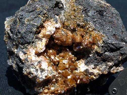 %_tempFileName2884a-2_Vanadinite_Chihuahua_Mexico%