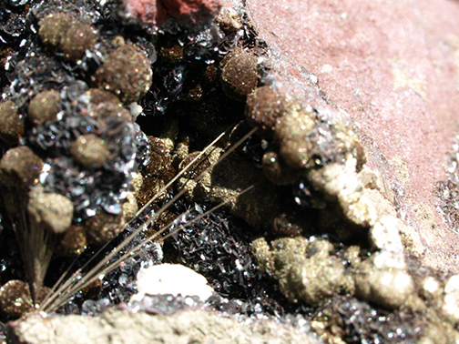 %_tempFileName3071-1_Millerite_Antwerp_NY_USA%20(3)%