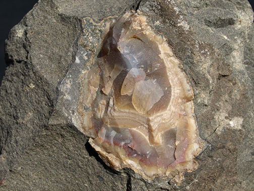 %_tempFileName3133-1_Agate_HoudailleQuarry_Montclair_NJ_USA%