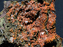 %_tempFileName2182a_Hemimorphite_LaQuellaMine_Mapimi_Durango_Mexico%